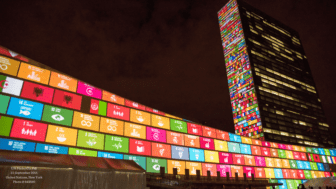 The Role of Business in Addressing the Sustainable Development Goals-image